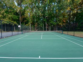 Tennis court